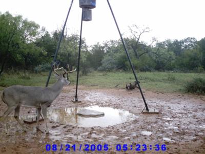 10pt  Indian Creek, TX