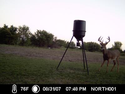 Surprised Young 11 Pt. Iowa Buck