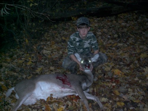 Bow harvested whitetail doe