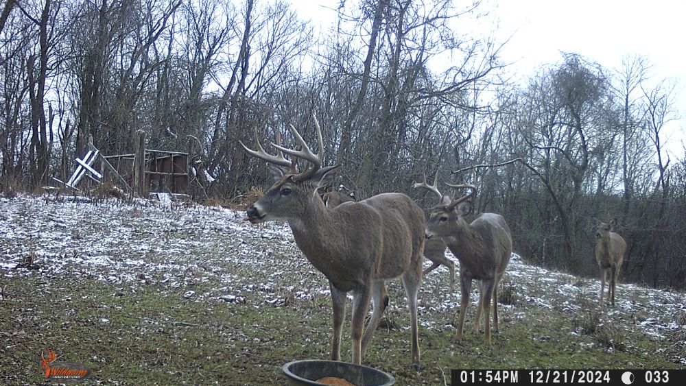 2024 Two Big Bucks