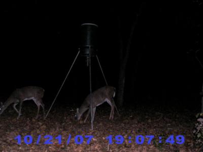 4 Point Buck  10/25/07