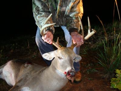 8 pointer  / Nov 03, 2009