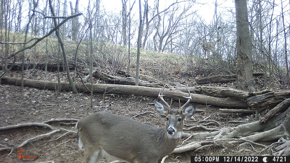 Dec 2022 Buddy Buck