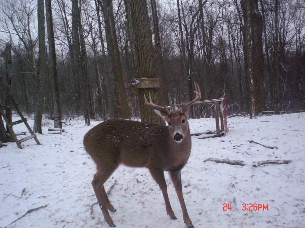 Dec 2022 Wide Eight Point