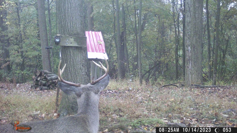 Fall 2023 small eight point