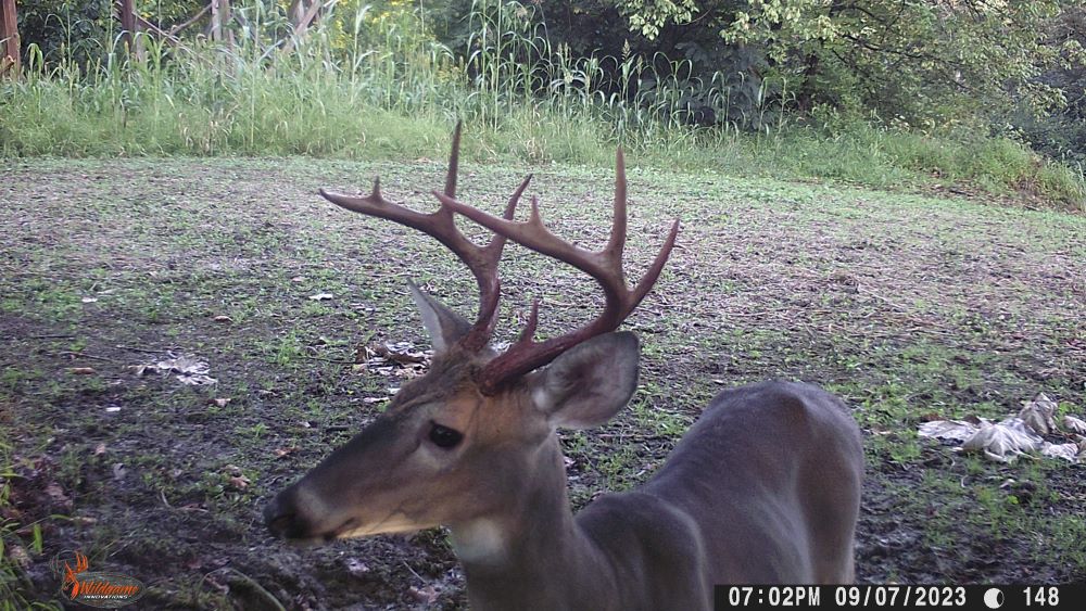 Fall 2023 small ten point