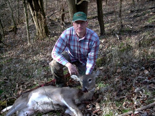 Late season whitetail doe