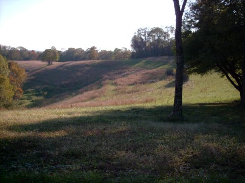 Hayfield in deer hunting season