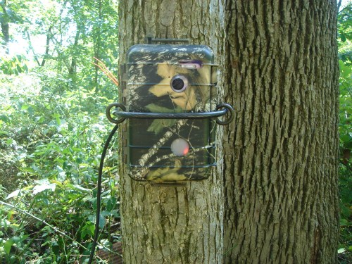 Penns Woods DS-07 digital trail camera