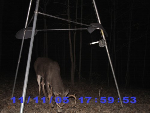 stealth cam pictures