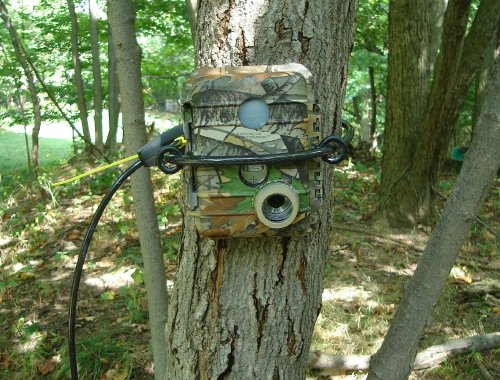 Swamp Ghost trail camera