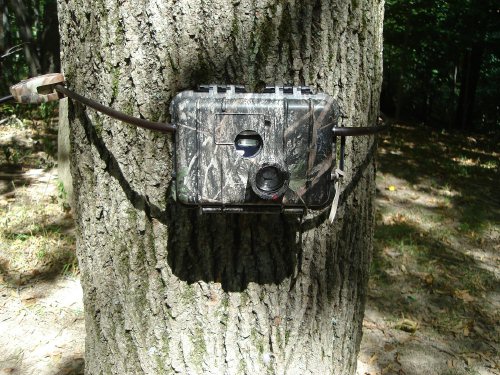 Trail Stalker digital trail camera