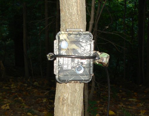 Trail Watcher 2035 digital trail camera