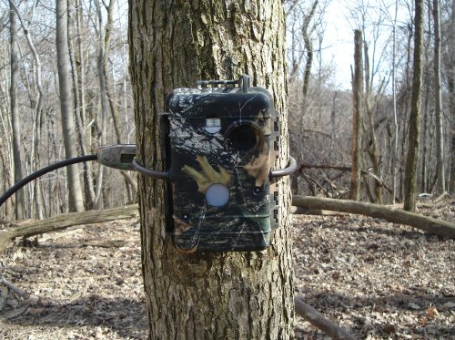 Treebark Camera 4.1 Digital Trail Camera