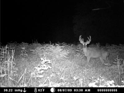 Ky Buck