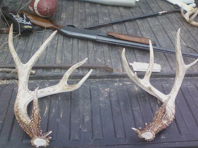 We did find his sheds in Feb!!!