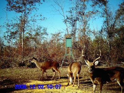 Big 8 Point