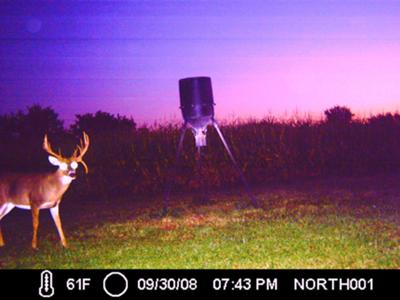 BIG IOWA DROP TINE