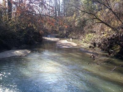 West creek shot view