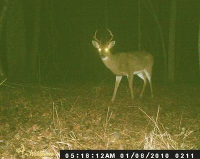 6 POINTER