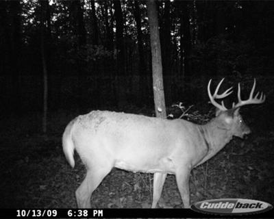 Pa. 11 Point