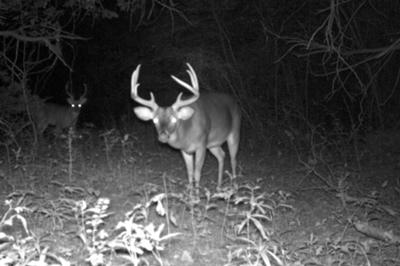 Mississippi 8 Point