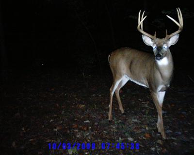 Indiana 8 Pt