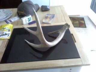 Antler Shed