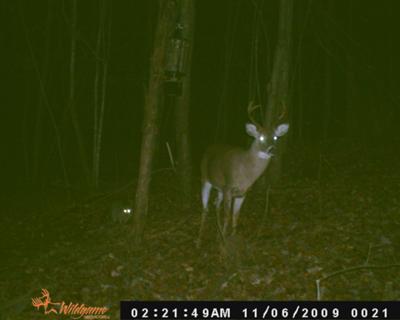 8 Pointer