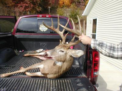 Ohio Buck