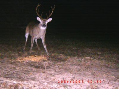 Super Tall 8 Point