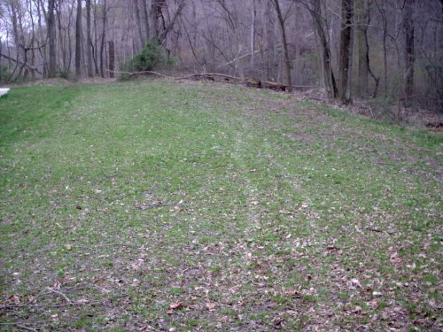 Imperial Whitetail Extreme food plot
