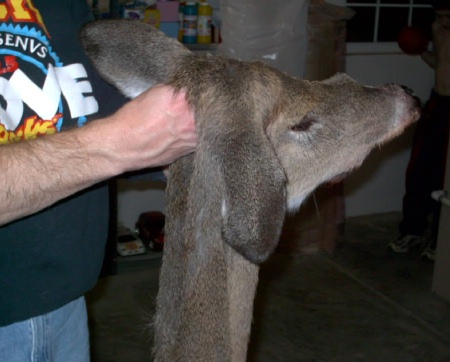 Deer Cape Removed