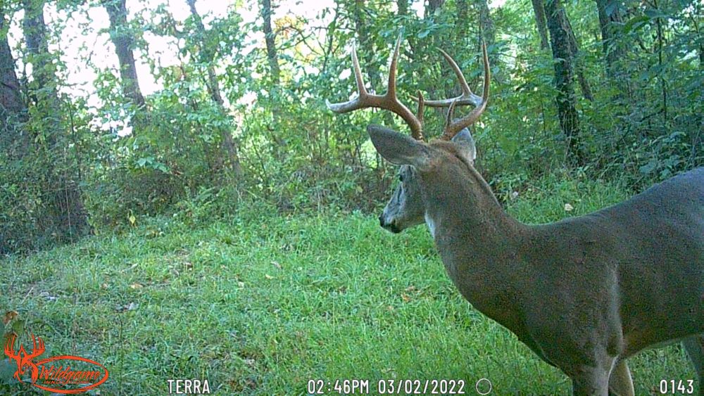 Fall 2023 big eight point