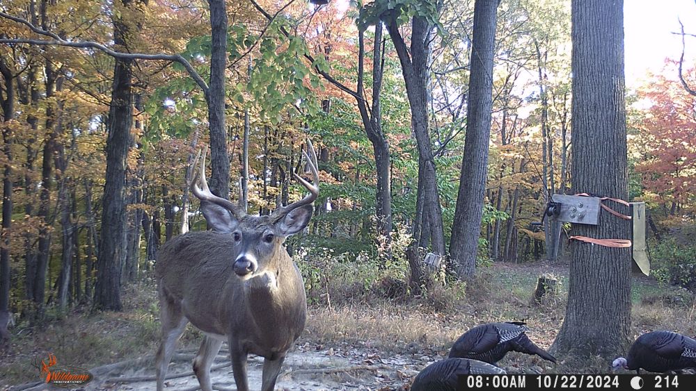 Fall 2024 Big Eight Point