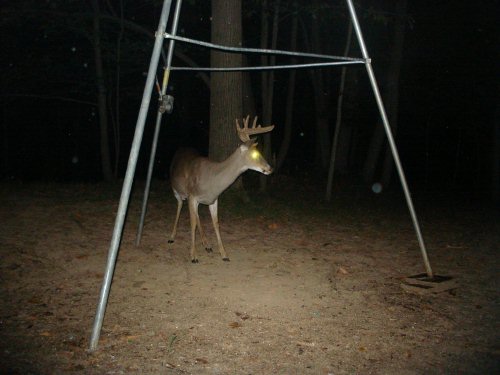 Trail Watcher 2035 night picture