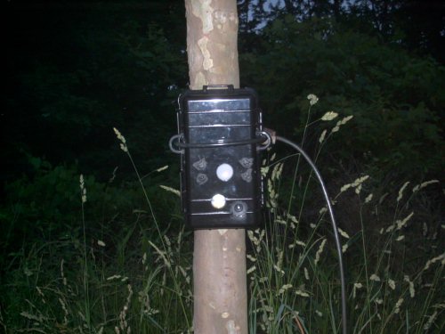 WhitetailCam P41 game camera