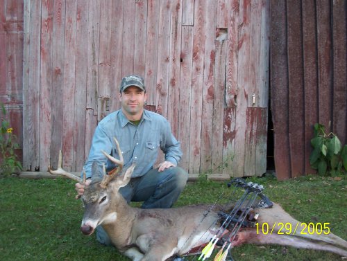 Six point buck