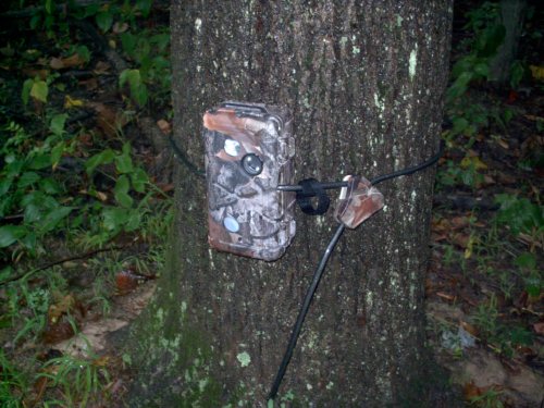 Woodland SpyCam