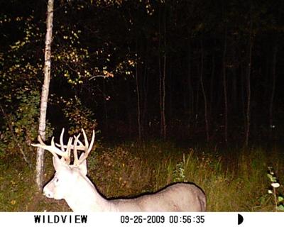 Three Beam Buck